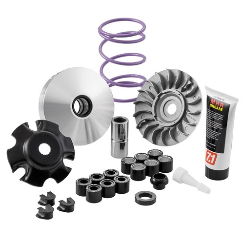 Variatore malossi multivar - variatore, mhr