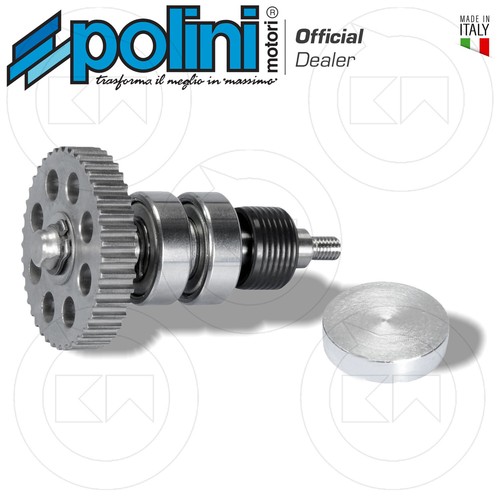 Kit revisione polini pompa - revisione,