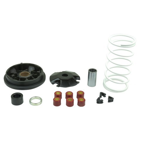 Variatore gilera runner 50 - runner, sp