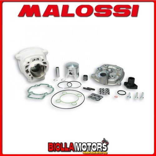 318466 gruppo termico malossi - 318466,