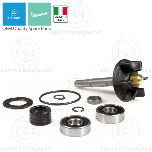 Kit revisione pompa acqua - pompa,