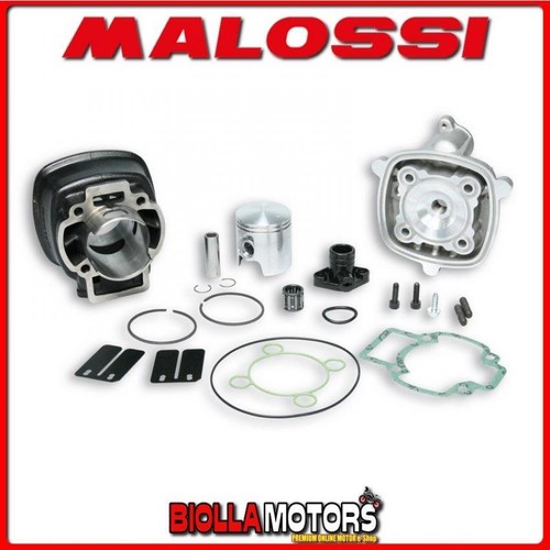 317353 cilindro malossi - 317353,